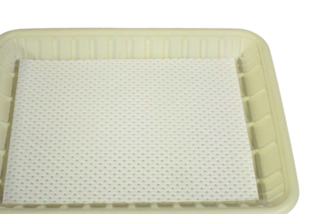Compostable Tray 14H