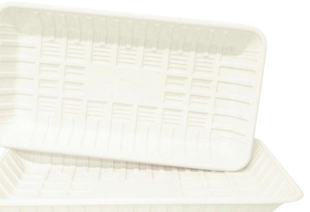 Compostable Tray 25P