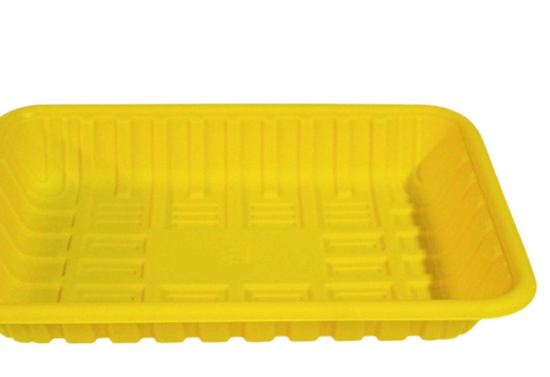 Compostable Tray 2P