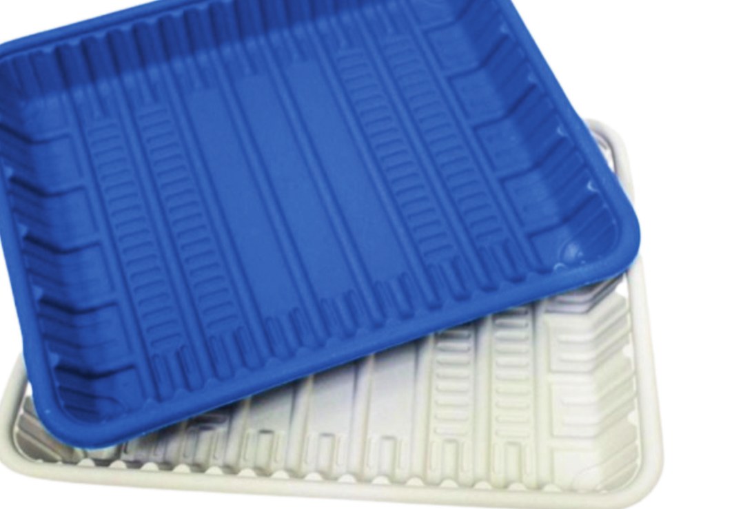 Compostable Tray 8H